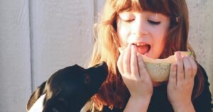 frutas que cachorro NÃO pode comer