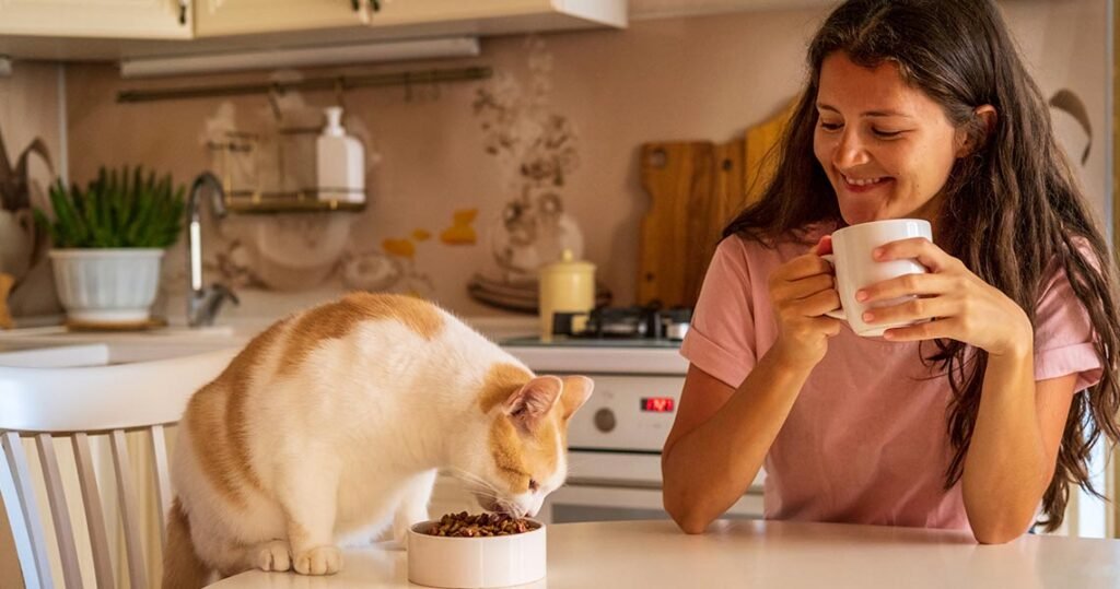 o que gato pode comer - rangaut - alimentacao natural para gatos